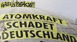 greenpeace_-_d_xs