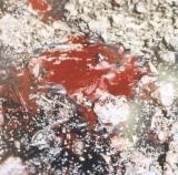 detail_from_4_worlds_fresh_blood_on_the_ground_-_xs